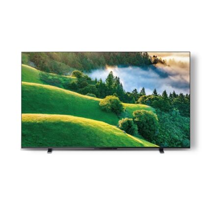 【TOSHIBA 東芝】55型 QLED顯示器 55M550LT