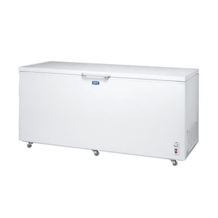 【含標準安裝】【SANLUX 台灣三洋】610L 負30度超低溫冷凍櫃SCF-610T
