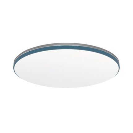 【Panasonic 國際】42.5W 8坪 LED可調光調色遙控吸頂燈 藍調 LGC61213A09
